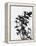 Minimalist Black Wild Flower V-Eline Isaksen-Framed Stretched Canvas