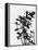 Minimalist Black Wild Flower V-Eline Isaksen-Framed Stretched Canvas