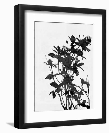 Minimalist Black Wild Flower V-Eline Isaksen-Framed Premium Giclee Print