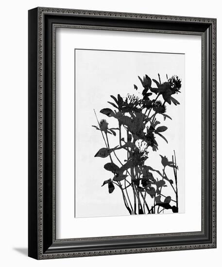 Minimalist Black Wild Flower V-Eline Isaksen-Framed Premium Giclee Print