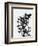 Minimalist Black Wild Flower V-Eline Isaksen-Framed Premium Giclee Print