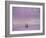 Minimalistic Dawn-Adrian Campfield-Framed Photographic Print