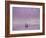 Minimalistic Dawn-Adrian Campfield-Framed Photographic Print