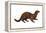 Mink (Mustela Vison), Mammals-Encyclopaedia Britannica-Framed Stretched Canvas