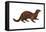 Mink (Mustela Vison), Mammals-Encyclopaedia Britannica-Framed Stretched Canvas