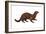 Mink (Mustela Vison), Mammals-Encyclopaedia Britannica-Framed Art Print