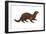 Mink (Mustela Vison), Mammals-Encyclopaedia Britannica-Framed Art Print