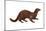 Mink (Mustela Vison), Mammals-Encyclopaedia Britannica-Mounted Art Print