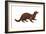 Mink (Mustela Vison), Mammals-Encyclopaedia Britannica-Framed Art Print