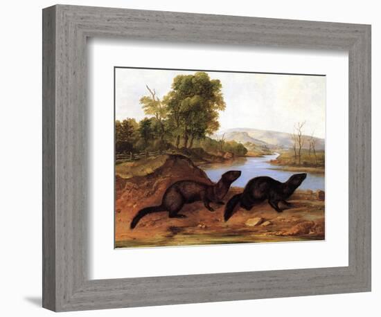 Minks, c.1848-null-Framed Giclee Print