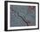 Minneapolis, Minnesota-Stocktrek Images-Framed Photographic Print