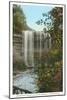 Minnehaha Falls, Minneapolis-null-Mounted Art Print