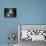 Minnehaha Falls-James Randklev-Framed Premier Image Canvas displayed on a wall