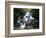 Minnehaha Falls-James Randklev-Framed Photographic Print