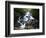 Minnehaha Falls-James Randklev-Framed Photographic Print