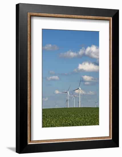 Minnesota, Dexter, Grand Meadow Wind Farm-Peter Hawkins-Framed Photographic Print