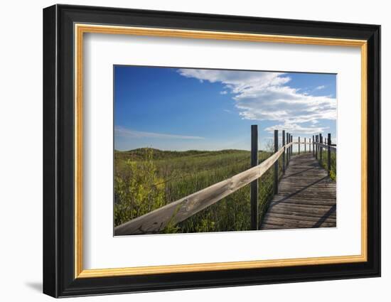 Minnesota, Duluth, Park Point, Boardwalk over Dunes-Peter Hawkins-Framed Photographic Print