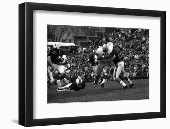 Minnesota- Iowa Game and Football Weekend, Minneapolis, Minnesota, November 1960-Francis Miller-Framed Photographic Print