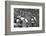 Minnesota- Iowa Game and Football Weekend, Minneapolis, Minnesota, November 1960-Francis Miller-Framed Photographic Print