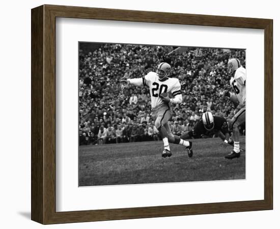 Minnesota- Iowa Game and Football Weekend, Minneapolis, Minnesota, November 1960-Francis Miller-Framed Photographic Print