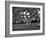 Minnesota- Iowa Game and Football Weekend, Minneapolis, Minnesota, November 1960-Francis Miller-Framed Photographic Print