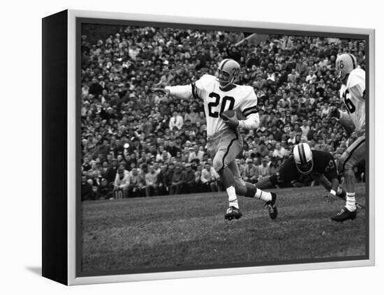 Minnesota- Iowa Game and Football Weekend, Minneapolis, Minnesota, November 1960-Francis Miller-Framed Premier Image Canvas
