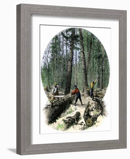 Minnesota Loggers Cutting Trees and Sawing Logs with a Two-Man Saw, c.1860-null-Framed Giclee Print