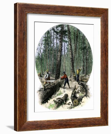 Minnesota Loggers Cutting Trees and Sawing Logs with a Two-Man Saw, c.1860-null-Framed Giclee Print