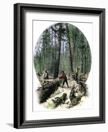 Minnesota Loggers Cutting Trees and Sawing Logs with a Two-Man Saw, c.1860-null-Framed Giclee Print