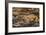 Minnesota, Sandstone, Minnesota Wildlife Connection. Grey Fox and Kit-Rona Schwarz-Framed Photographic Print