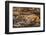 Minnesota, Sandstone, Minnesota Wildlife Connection. Grey Fox and Kit-Rona Schwarz-Framed Premium Photographic Print