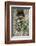 Minnesota, Sandstone. Raccoon in a Hollow Tree-Rona Schwarz-Framed Photographic Print