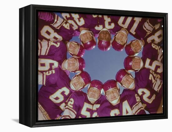 Minnesota Vikings Football Team-Eliot Elisofon-Framed Premier Image Canvas