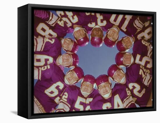 Minnesota Vikings Football Team-Eliot Elisofon-Framed Premier Image Canvas