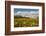 Minnesota, West Saint Paul, Field of Daisy Wildflowers and Clouds-Bernard Friel-Framed Photographic Print