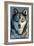 Minnesota - Wolf Up Close-Lantern Press-Framed Art Print