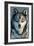 Minnesota - Wolf Up Close-Lantern Press-Framed Art Print