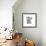 Minnesota-Art Licensing Studio-Framed Giclee Print displayed on a wall