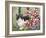 Minnie in the Petunias-William Vanderdasson-Framed Giclee Print