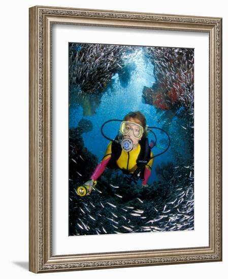 Minnow Caves and Scuba Diver, Key Largo, Florida, USA-Michele Westmorland-Framed Photographic Print