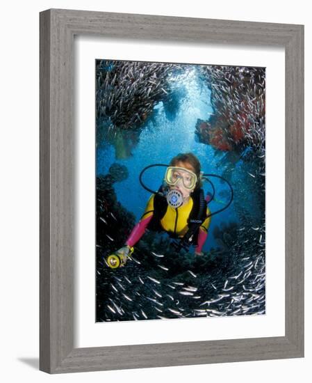 Minnow Caves and Scuba Diver, Key Largo, Florida, USA-Michele Westmorland-Framed Photographic Print