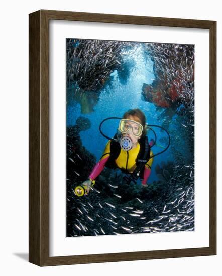 Minnow Caves and Scuba Diver, Key Largo, Florida, USA-Michele Westmorland-Framed Photographic Print