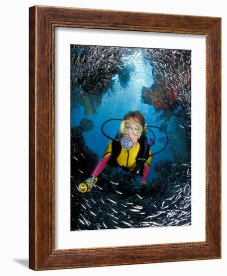 Minnow Caves and Scuba Diver, Key Largo, Florida, USA-Michele Westmorland-Framed Photographic Print