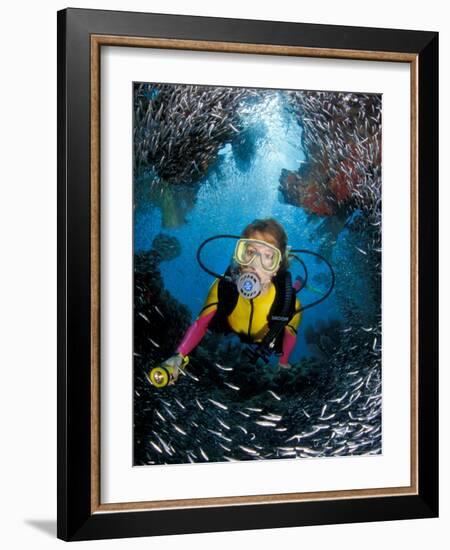 Minnow Caves and Scuba Diver, Key Largo, Florida, USA-Michele Westmorland-Framed Photographic Print