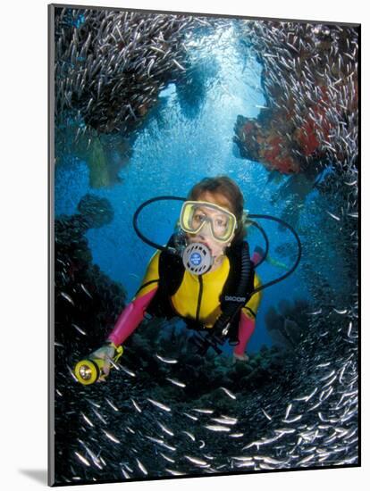 Minnow Caves and Scuba Diver, Key Largo, Florida, USA-Michele Westmorland-Mounted Photographic Print