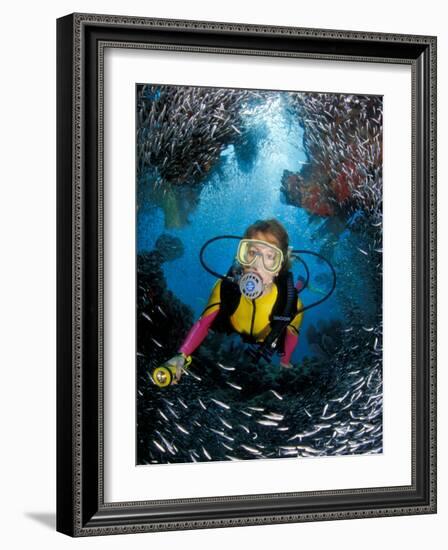 Minnow Caves and Scuba Diver, Key Largo, Florida, USA-Michele Westmorland-Framed Photographic Print