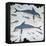 Minoan Wall-Painting of Dolphins-CM Dixon-Framed Premier Image Canvas