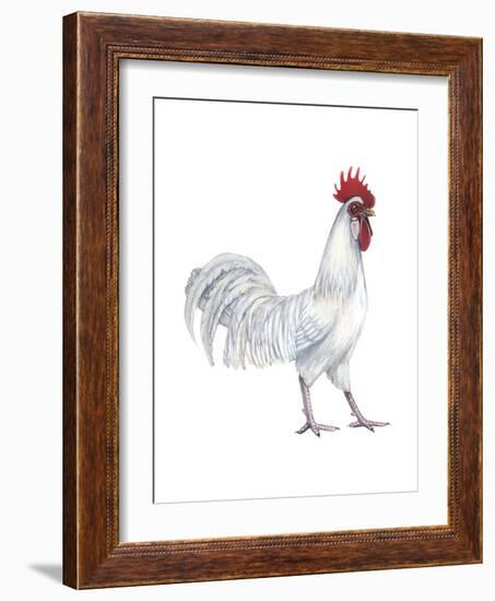 Minorca (Gallus Gallus Domesticus), Rooster, Poultry, Birds-Encyclopaedia Britannica-Framed Art Print