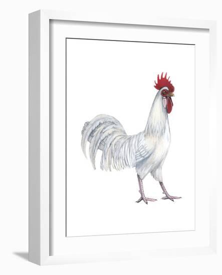 Minorca (Gallus Gallus Domesticus), Rooster, Poultry, Birds-Encyclopaedia Britannica-Framed Art Print