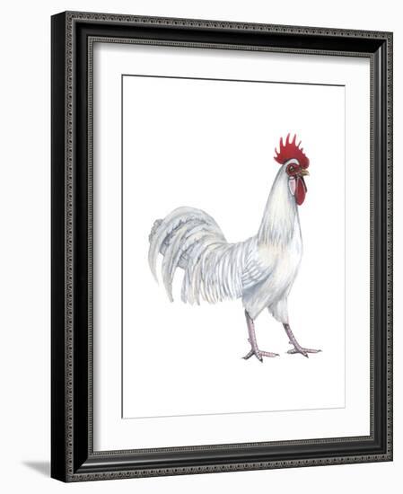Minorca (Gallus Gallus Domesticus), Rooster, Poultry, Birds-Encyclopaedia Britannica-Framed Art Print